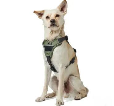profesionalne cetke za pse: *** AKCIJA *** #2156 Kvalitetni am za pse DIVO DOG HARNESS - By — 6