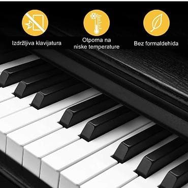 klavijature prodaja: 100% Nov i neraspakovan u kutiji. Strauss Rottman Grand Piano – — 6