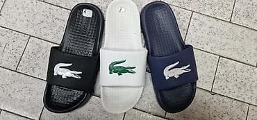 peko sandale: Lacoste papuče NOVO Novo Brojevi 41 do 46 fb Moja Kupovina 1 april — 1