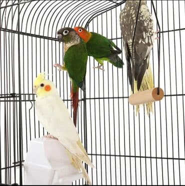 aplikator za tablete za mačke: NOVO Dostupno odmah Praktičan pristup s vrha: Kavez za ptice — 3