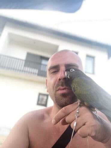 Glodari: Povodci za papagaje – sigurnost, sloboda i poverenje u jednom! — 9