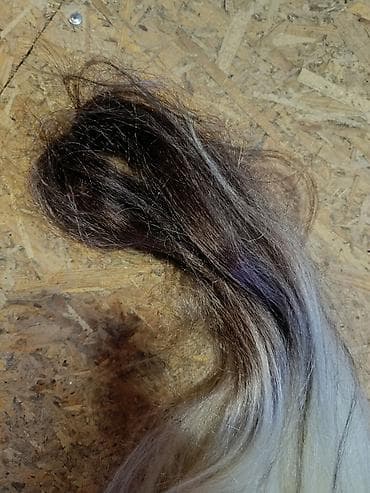 Perike i klipse: Prodajem futura kosu,najkvalitetnija kosa na tržištu,bez veštačkog — 4