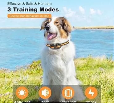 Pets & Animals: Elektricna ogrlica za dresuru pasa 800m NOVI model 3moda struja — 4