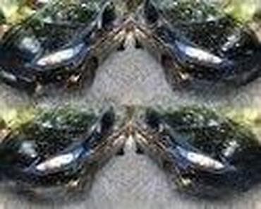 focus 2: HLADNJAK VODE ZA FORD C-MAX, FIESTA, FOCUS . OD 2002. DO 2017. GOD — 5