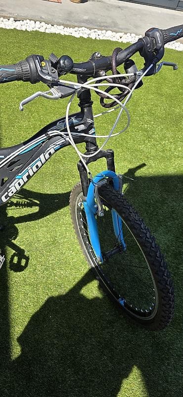 camper muške cipele: Dečiji/teen MTB bicikl Capriolo CTX - Veličina točkova: 24 inča, sa — 2