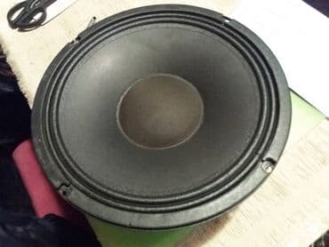 Foto i video kamere: Celestion 10 inca- England; kao nov; 1 komad; 8 oma, nepopravljan — 3