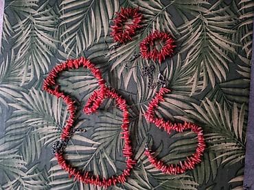 helanke sa kompresijom: Komplet nakita od crvenog korala – ogrlica, narukvica i minđuše. - — 1