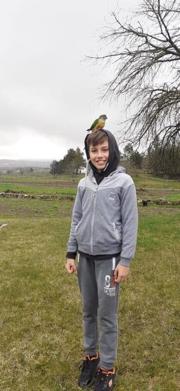 Glodari: Povodci za papagaje – sigurnost, sloboda i poverenje u jednom! — 7