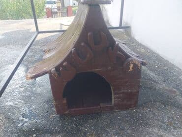 kucice za koke: Kucica za pse — 4