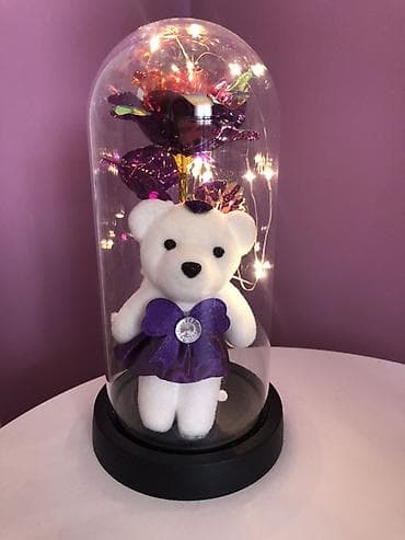 Paintings & Picture frames: Ruža i plišani meda u dekorativnoj kupoli sa LED osvetljenjem - za 8 — 2