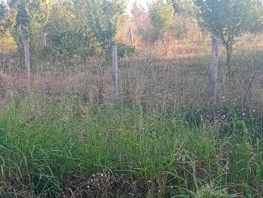 popravka drvenih prozora beograd: U ponudi su profesionalne hortikulturne usluge koje uključuju košenje — 4