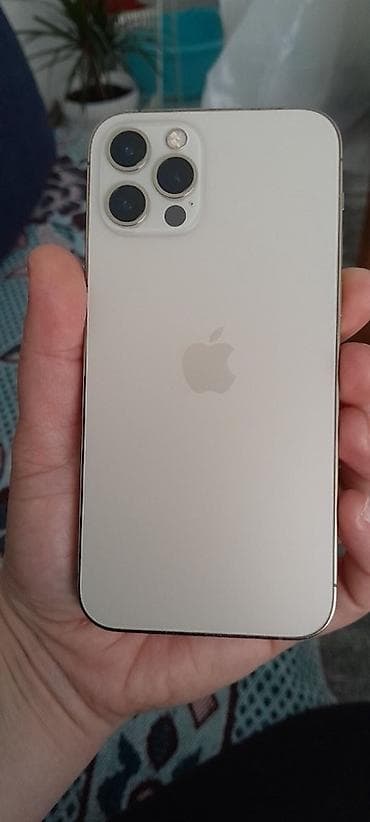 torba za dokumente: Apple iPhone (serija Pro) – zlatna/šampanj boja - Kućište sa ravnim — 1