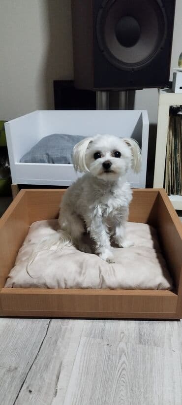 Oprema za kućne ljubimce: Drveni krevet za kućne ljubimce (psi/mačke) sa jastukom - Materijal — 6