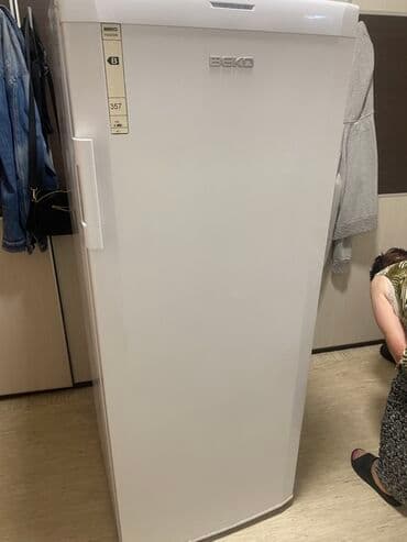Zamrzivači: BEKO vertikalni zamrzivač - Model: BEKO (oznaka na fronti; nalepnica — 3