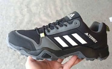 lyle and scott patike: Trainers, size - 46 — 2