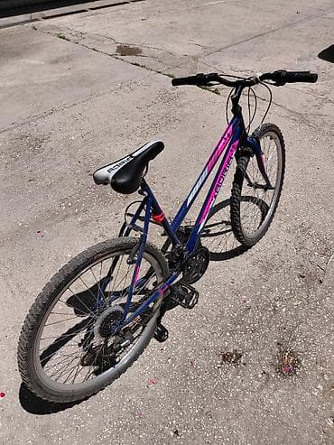stanlio i olio: Planinski/treking bicikl Adria - Veličina točkova: 26" - Čelični ram — 2