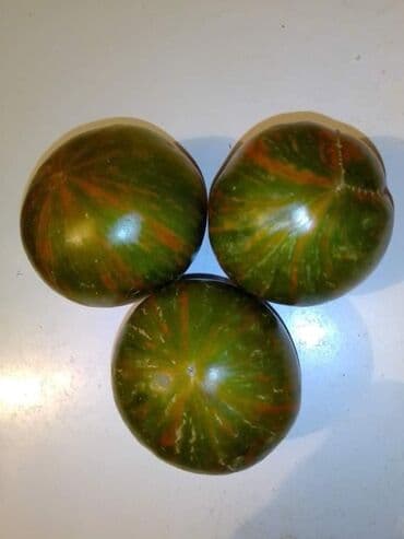 Sve za vikendicu i baštu: Seme paradajza! Crveni jabučar Žuti jabučar Narandžasti jabučar — 5