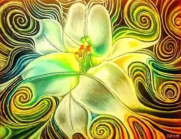 saksije nova pazova: Slika, Novo — 1