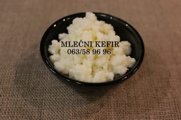 anestetik krema cena: Zrnca za pravljenje mlečnog kefira, količina za 1/2 litre mleka — 2