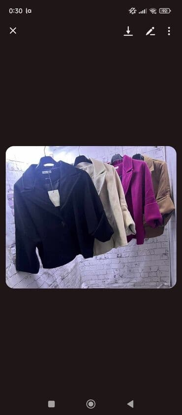 teddy kaput new yorker: Amari, XS, L, M — 1