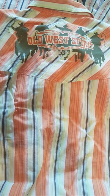 metro obuca za devojcice: Lc Waikiki, Long sleeve, 164-170 — 2