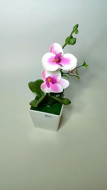 Veštačka orhideja u saksiji - Realistična dekorativna orhideja sa