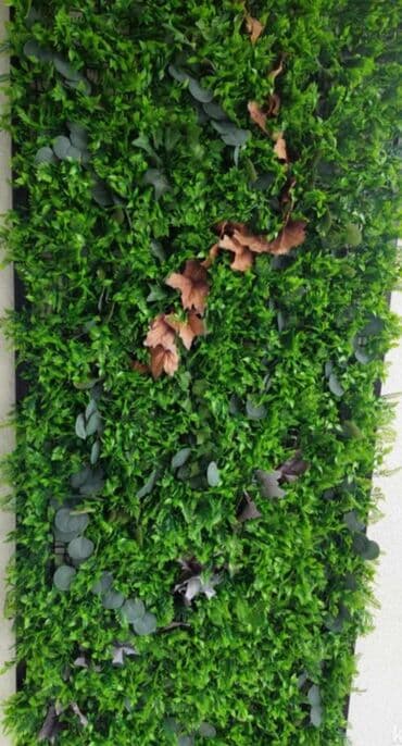 pistolj za eksere na struju cena: Vestacko zelenilo, paneli i dodaci za ukrasavanje prostora, kuce — 3