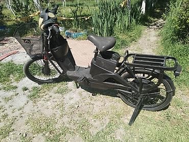 zadnji amortizeri za punta cena: Električni skuter – kargo/utility tip - Boja: crna, niskog rama za — 2