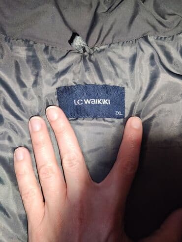 Sweatshirts: Transitional jacket, Nylon, 2XL (EU 56), Lc Waikiki, color - Grey — 3