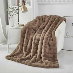 Houseplants: Size - Double — 5