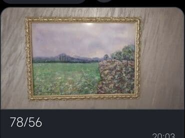 dormeo prekrivac 2 u 1: Slika, 78 x 56 cm, Upotrebljenо — 1