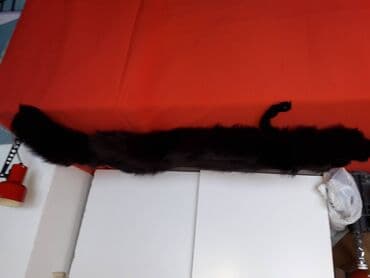 krzneni prsluci novi pazar: One size, Polarna lisica, bоја - Crna — 4
