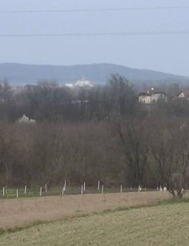 stanovi za izdavanje u nisu: 38 ares, Vlasnik — 2