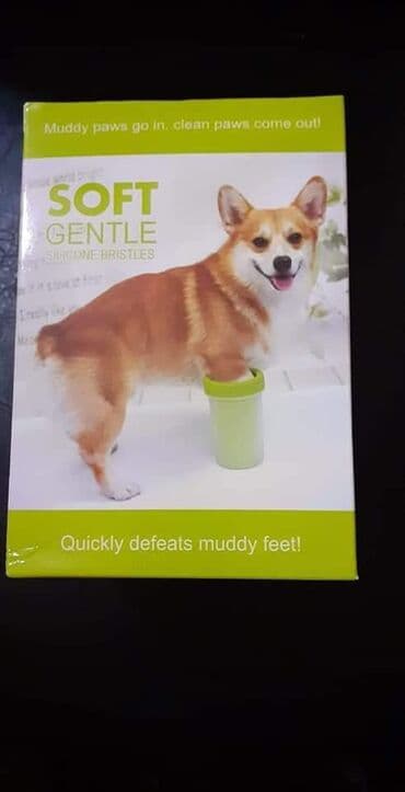 Naši najbolji prijatelji zahtevaju česte šetnje, nakon kojih uglavnom