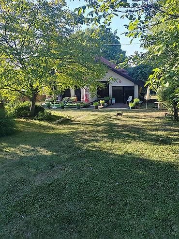 Porodična kuća sa prostranim dvorištem i zelenilom - Samostalna kuća