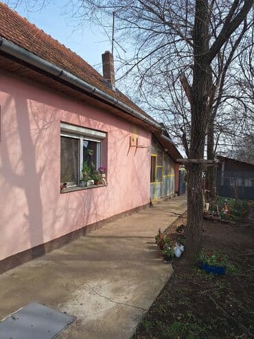 kuce na selu: 65 kv. m, 2 sobe — 1