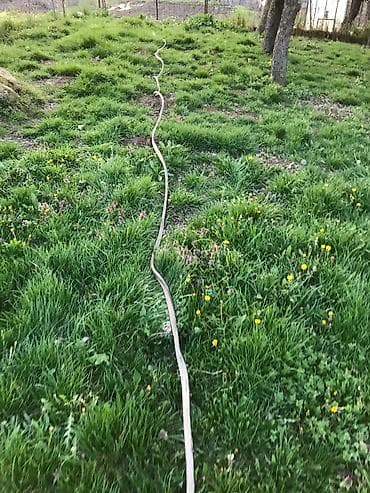 kabl za samsung punjac: Dalekovodni visokonaponski petozilni kabl sa sajlom debeo tezak tacno — 6