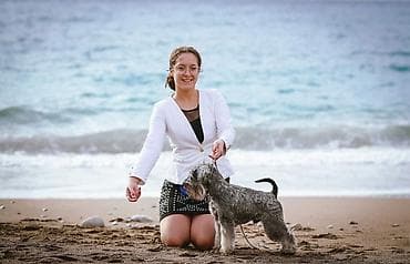 stene kane korso: Patuljasti Snaucer Biber so boja 5 zenki 1 muzjak Stenad su iz — 9