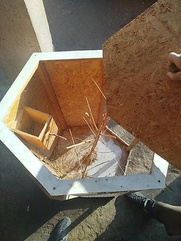 Oprema za kućne ljubimce: Kavez za ptice 100×70 — 3