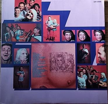 Muzički instrumenti: Vinil ploče — 5