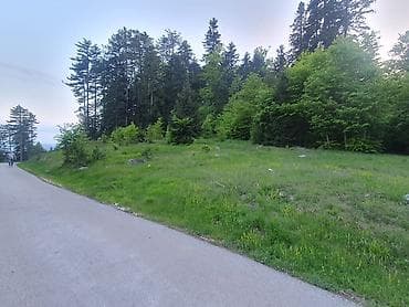 izdavanje soba ruma: Na prodaju plac 11.3 ari na Zlatiboru pored asfaltnog puta udaljenosti — 1