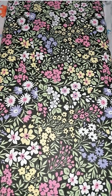 Houseplants: Single — 1