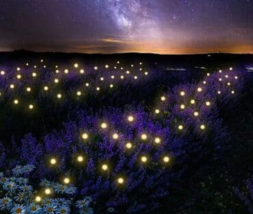 noša kao wc šolja: Garden lighting, New — 4