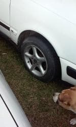 presvlake za auto: Alu felne15 audi u dobrom stanju, raspon rupa 5x112 — 1