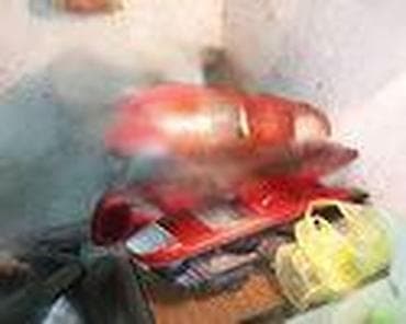 stop svetlo passat b6 karavan: FAROVI ZA FORD FIESTA OD 2001. DO 2005. GOD. | Ford Fiesta 5.farovi — 5
