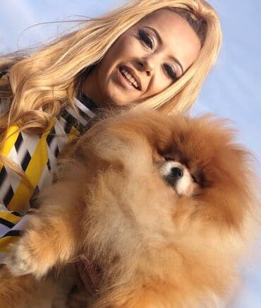 Psi: Pomeranac / Pomeranian / Boo štenci Ako ste odgovorna osoba i imate — 6