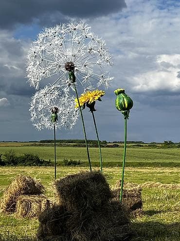 ikea lusteri za decu: Prodajem prelepe, ručno rađene dekorativne maslačce. Savršen ukras za — 2