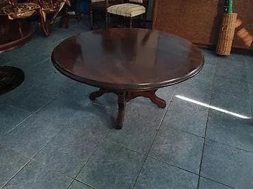 Stocic u oslicnom stanju