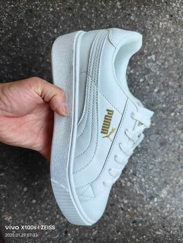 Puma, 37