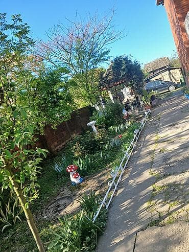 nekretnine kikinda sa slikom: Porodična kuća u Surduku sa uređenim dvorištem - Dvospratna zidana — 5